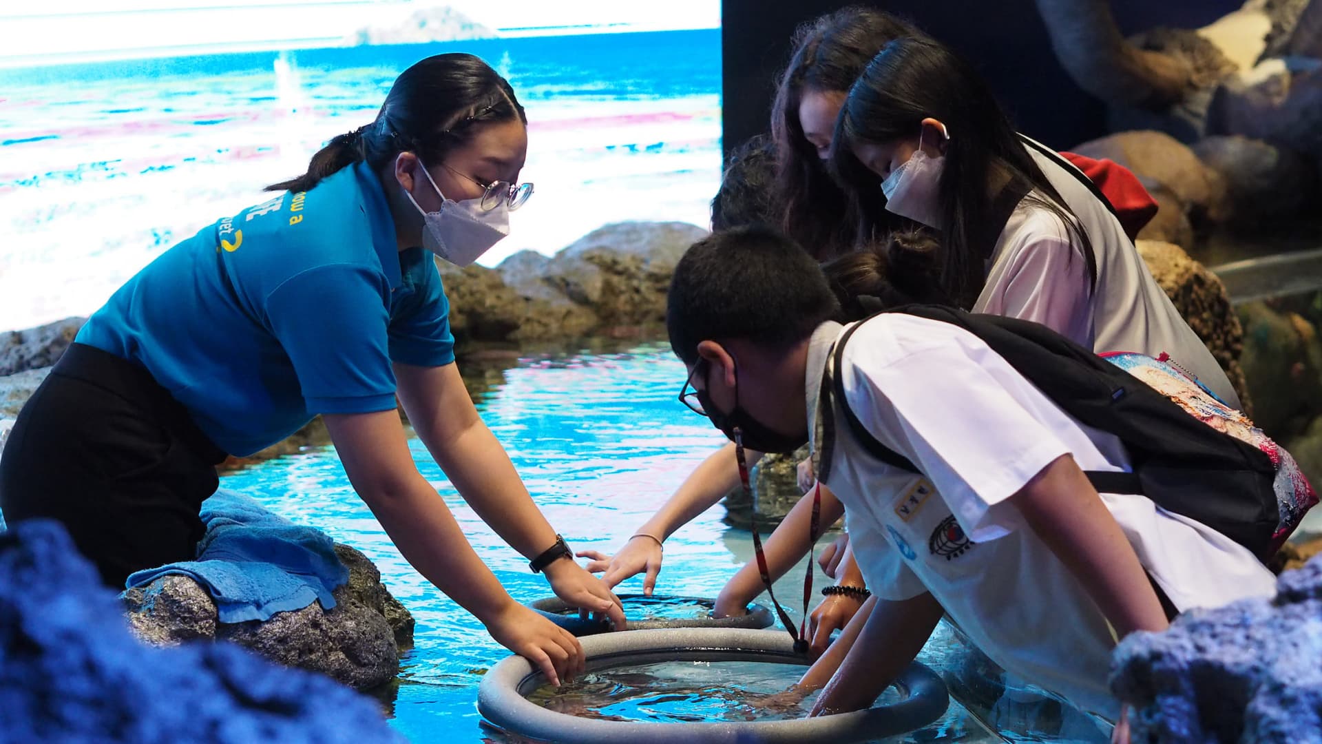 SEA LIFE Bangkok Ocean World Ticket - image 8